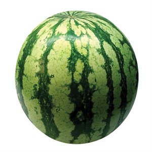 Melon d'eau (entier) 1un