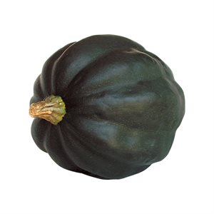 Courge Poivrée