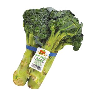 Brocoli biologique gr:14 1un