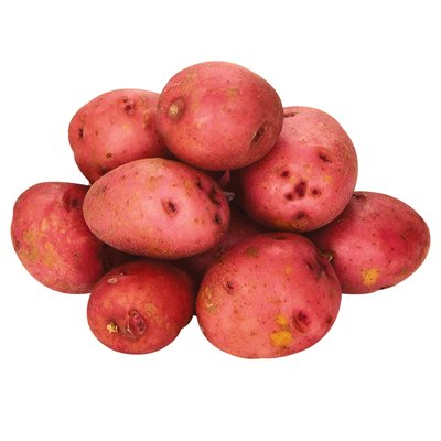 Patate rouge 5lbs