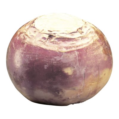 Navet "Rutabaga"