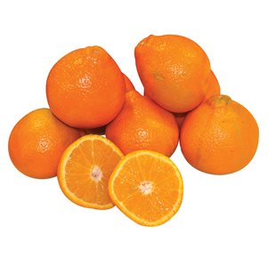 Tangerine Minneola (vrac)