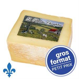 Fromage raclette GROS FORMAT